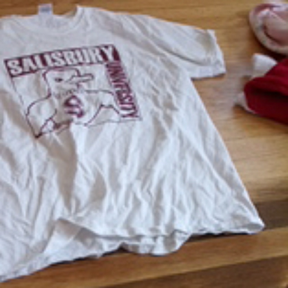Sailsbury university tshirt